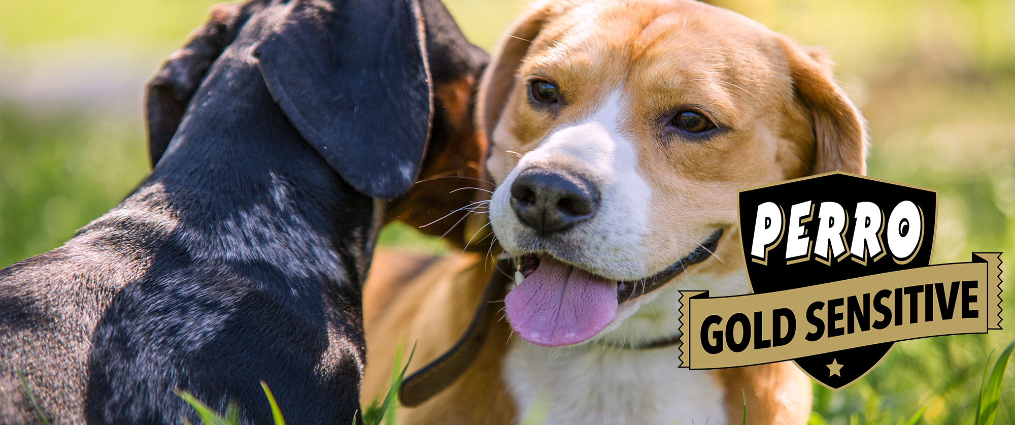 Perro Gold Sensitive hondenbrokken